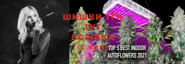 PSILOCYBIN Абаза