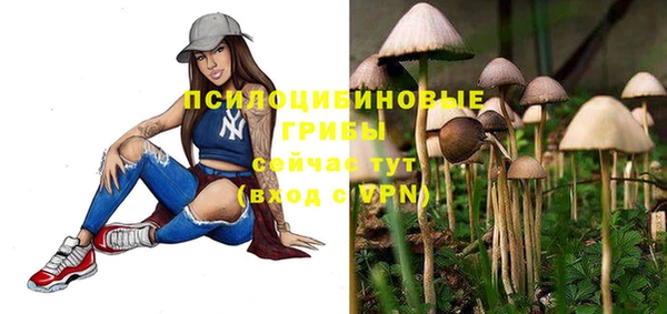 гидропоника Ростов